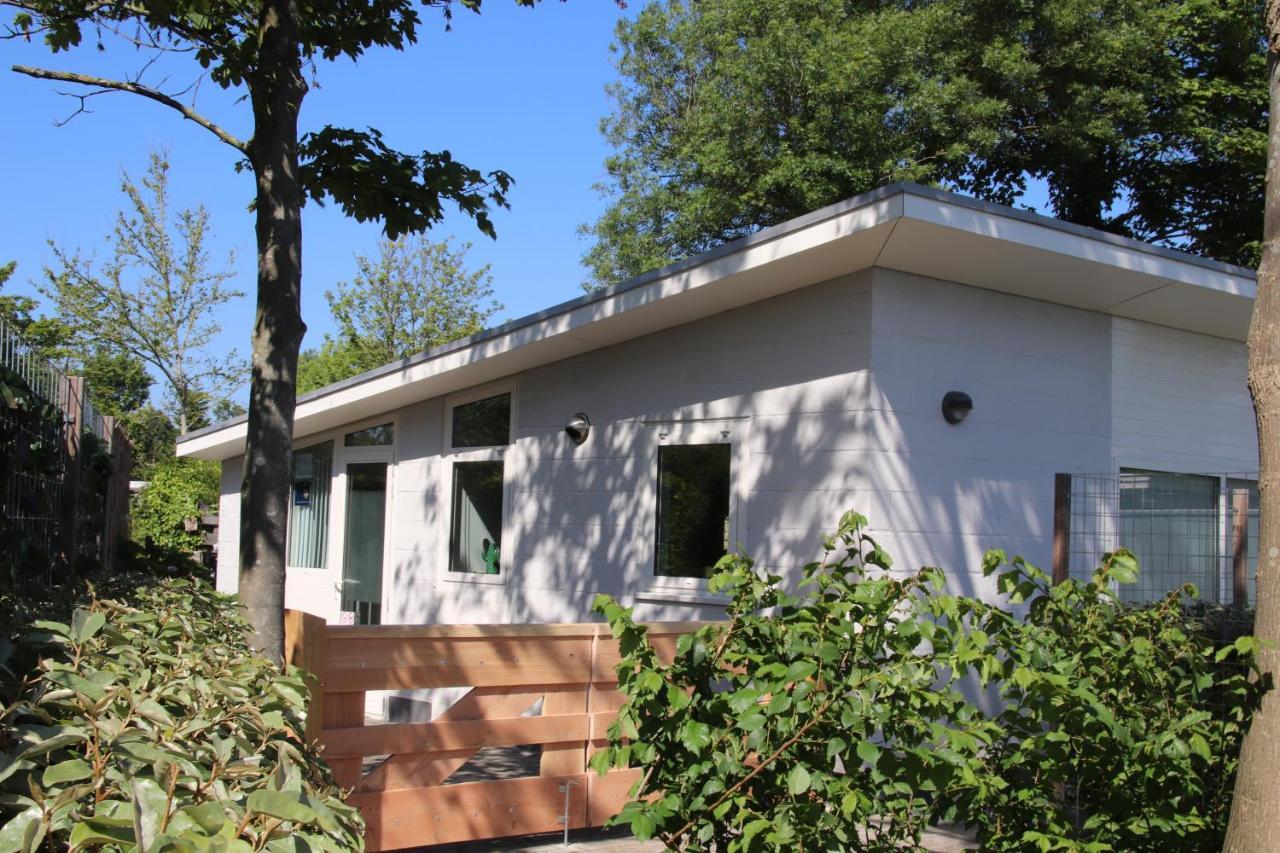 Banjaard Beachhouse Patrijzenlaan 14 Kamperland Εξωτερικό φωτογραφία